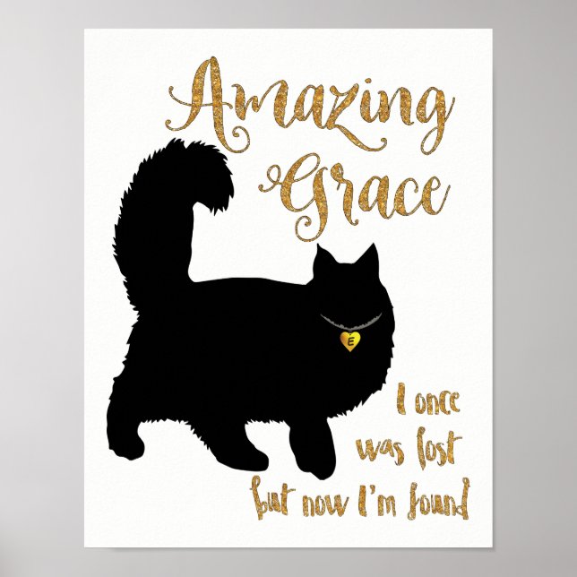 Amazing Grace Rescued Cat Poster (Front)