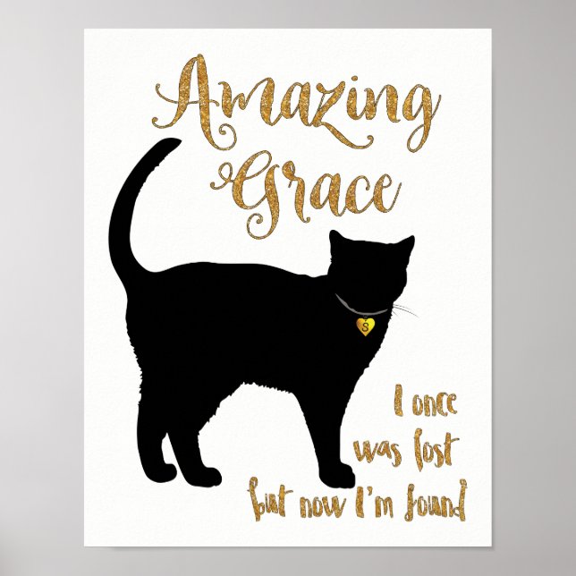 Amazing Grace Rescued Cat Shorthair Poster (Front)