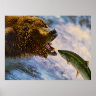 Amazing grizzly bear salmon image poster