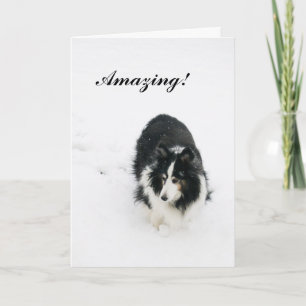 Amazing! Holiday Card