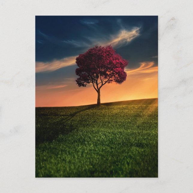 Amazing Landscape with a Red Tree at Sunset Postcard (Front)