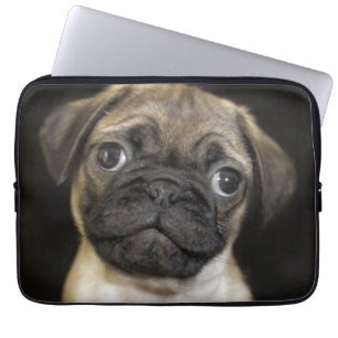 Amazing Little Pug Puppy Laptop Sleeve