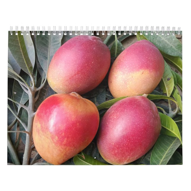 Amazing mango calendar 2023 (Cover)