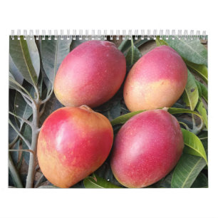 Amazing mango calendar 2023