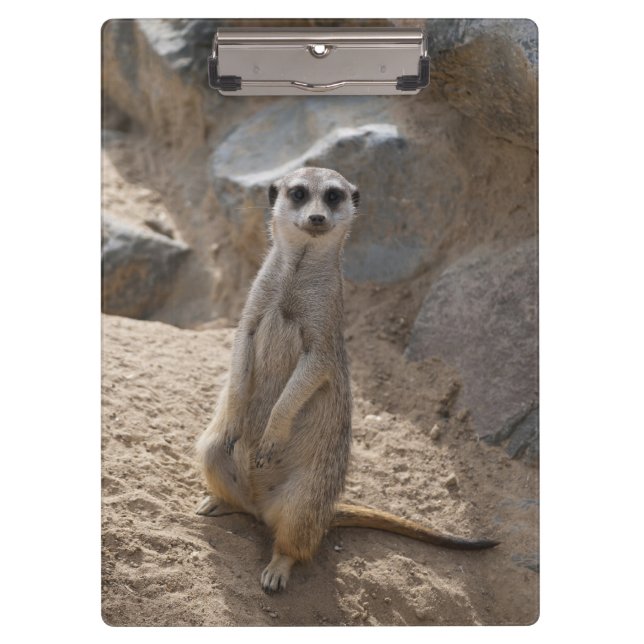 Amazing Meerkat Clipboard (Front)