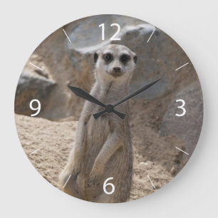 Amazing Meerkat Large Clock