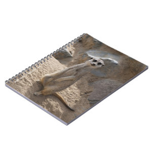 Amazing Meerkat Notebook