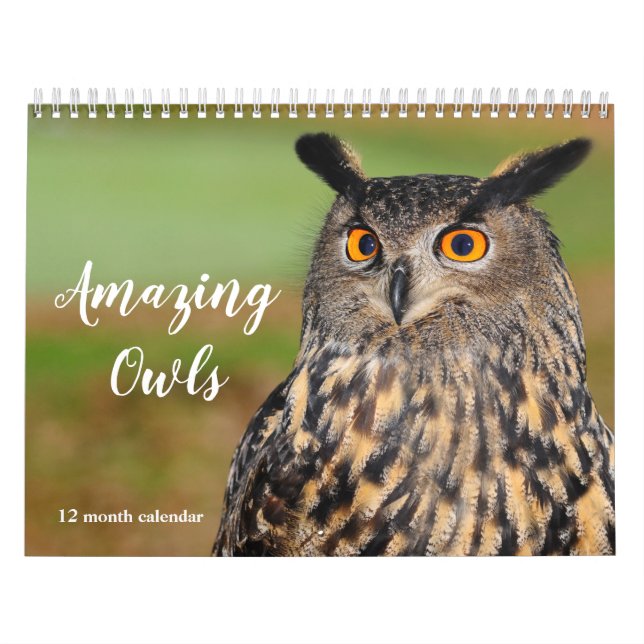Amazing Owls 2026 Calendar (Cover)