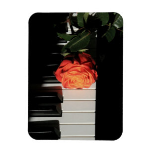 Amazing Piano Artwork Magnet