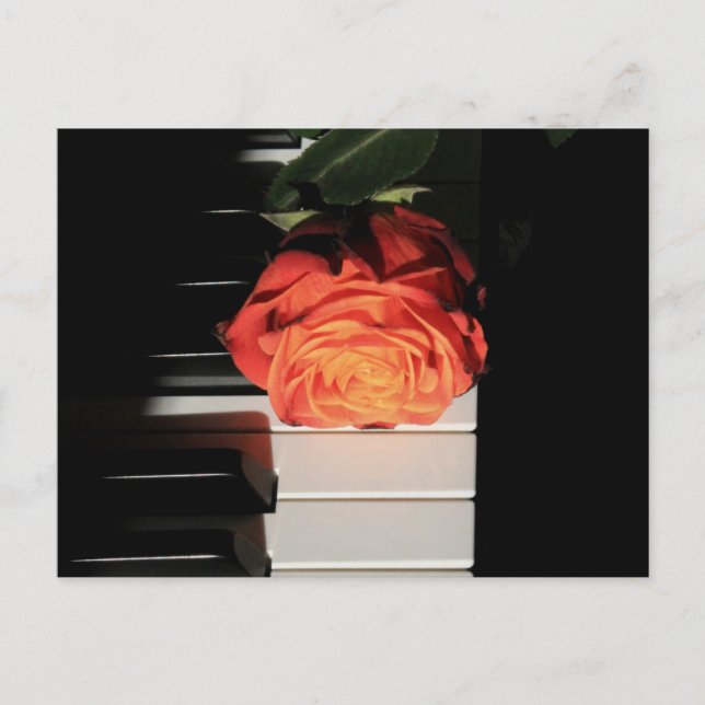 Amazing Piano Artwork Postcard (Front)