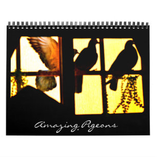 Amazing Pigeons Calendar