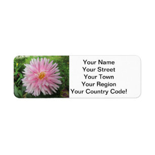 Amazing Pink Dahlia Flower Return Address Label