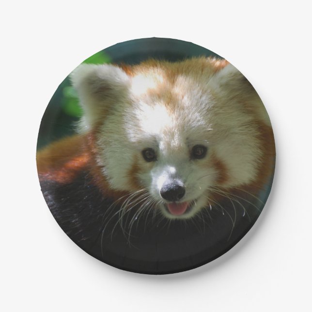 Amazing Red Panda Paper Plate (Front)