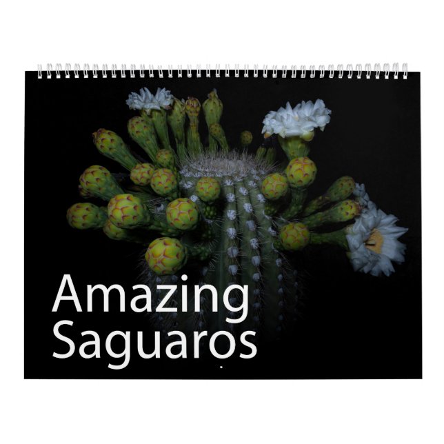 Amazing Saguaros Calendar (Cover)