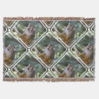 Amazing Squirrel Monkey