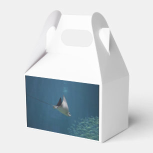 Amazing Stingray Favour Box