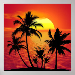 Amazing sunset with palms on tropical beach poster