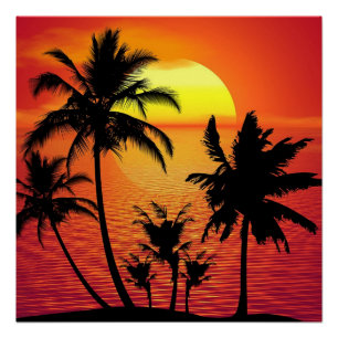 Amazing sunset with palms on tropical beach poster