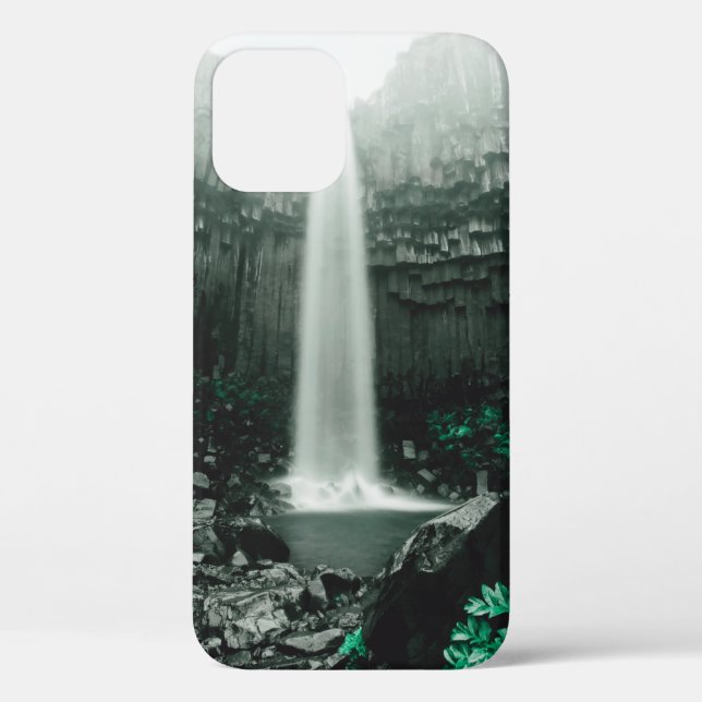 Amazing view of Svartifoss waterfall. Scenic image Case-Mate iPhone Case (Back)