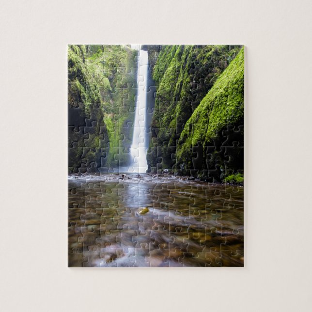 Amazing Waterfall Jigsaw Puzzle (Vertical)
