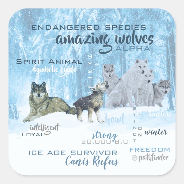 Amazing Wolves Typography | Personalised Square Sticker (Front)