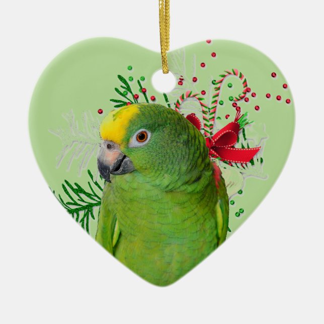 Amazon Love Holiday Ornament (Front)