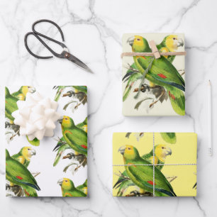 Amazona Parrots - vintage birds Wrapping Paper Sheet