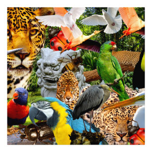 AMAZONIA PHOTO PRINT