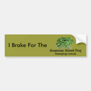 Amazonian Horned Frog Bumper Sticker