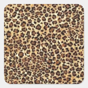 AMAZONS SQUARE STICKER