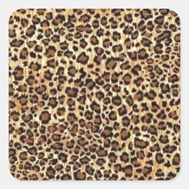 AMAZONS SQUARE STICKER (Front)