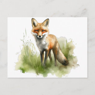 Amber Gaze: Meadow Fox, custom Postcard