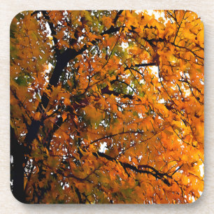 Amber Leaves of Fall Coaster