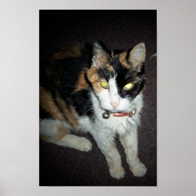 amber poster (Front)