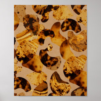 Amber Tortoiseshell Pattern Art Poster