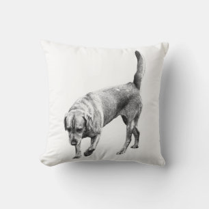 Amber Twilight Watcher Cushion