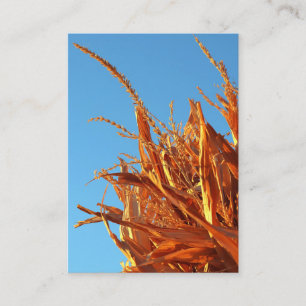 Amber Waves  Enclosure Card