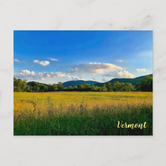 Amber Waves of Grain Postcard