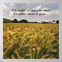 Amber Waves of Grain