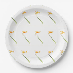 Amber-wings all around paper plate