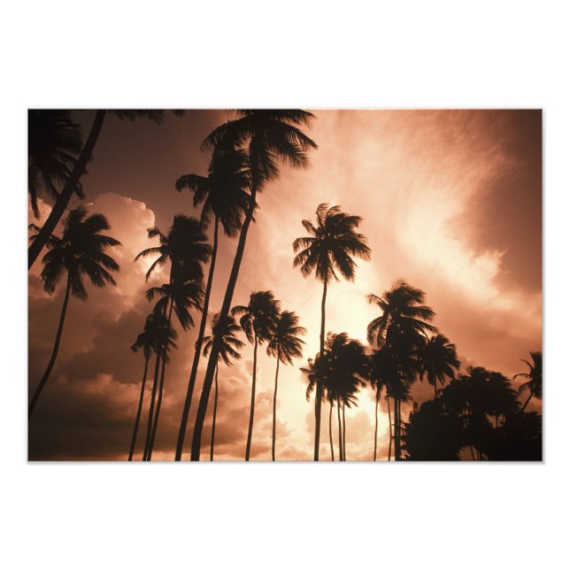 Ambergris Caye, Belise, Central America. 2 Photo Print (Front)