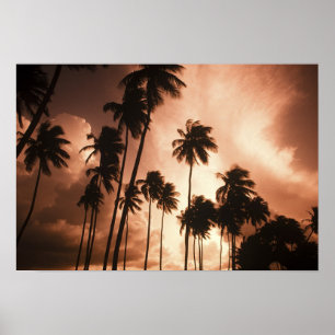 Ambergris Caye, Belise, Central America. 2 Poster