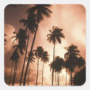 Ambergris Caye, Belise, Central America. 2 Square Sticker