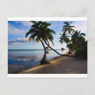 Ambergris Caye Belise Postcard