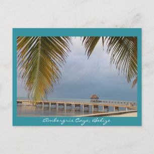 Ambergris Caye, Belise Postcard