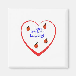 Ambers Lady Bug Magnet