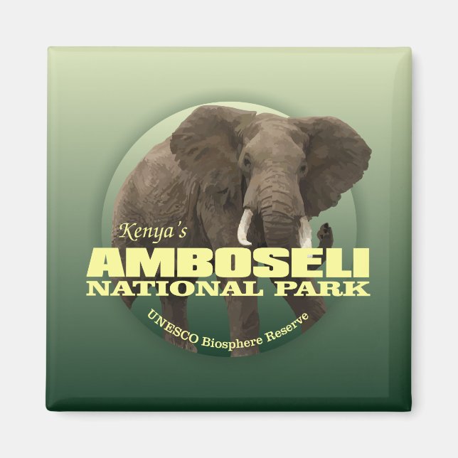Amboseli NP (African Elephant) WT Magnet (Front)