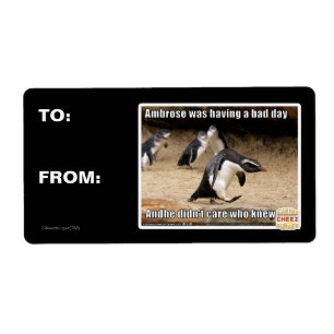 Ambrose was having a bad day