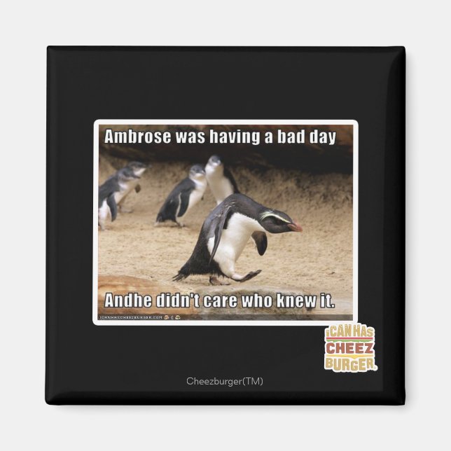 Ambrose was having a bad day magnet (Front)