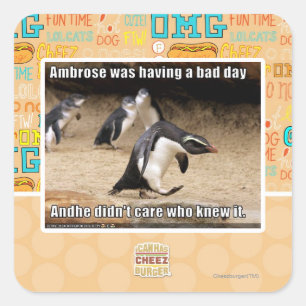 Ambrose was having a bad day square sticker